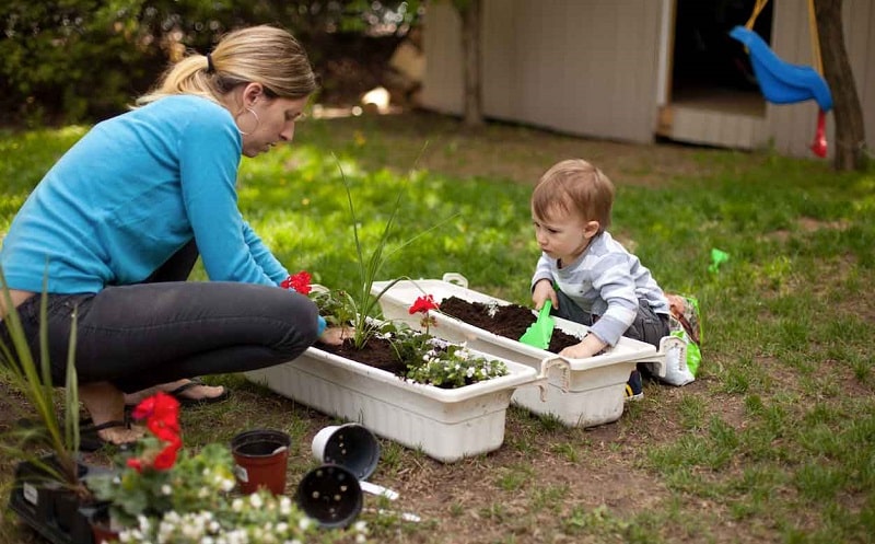 Les Bienfaits Du Jardinage Pour L Environnement Lejardindemilie Fr