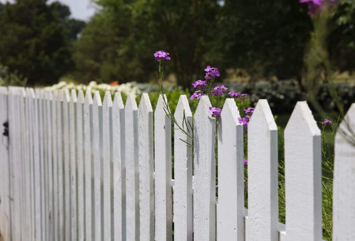 Les dernières tendances en bordure de jardin pour l'été 2023